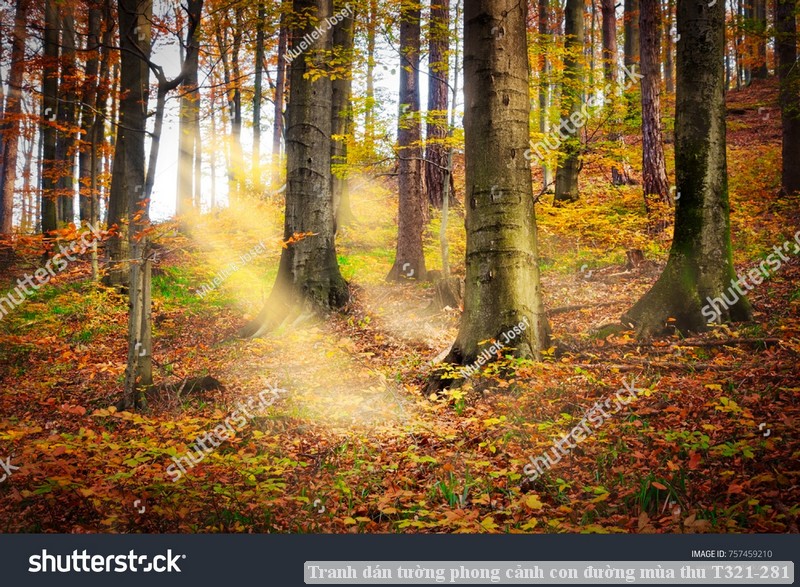 Tranh dán tường phong cảnh hồ thác, cây cối T321-553